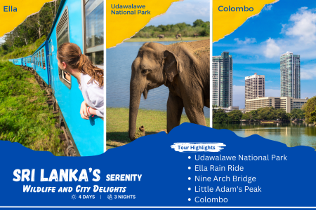 Sri Lanka’s Serenity – Wildlife and City Delights