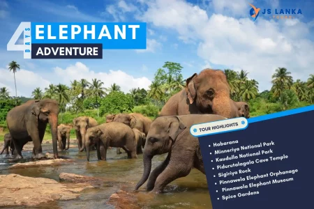 Elephant Adventure