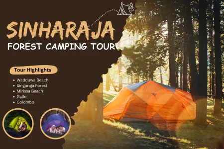 Sinharaja Forest Camping Tour - JS Lanka Tours