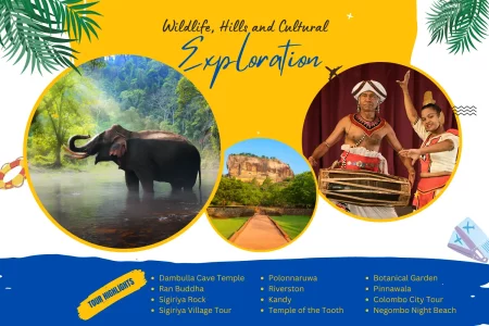 Wildlife, Hills and Cultural Exploration - JS lanka Tours